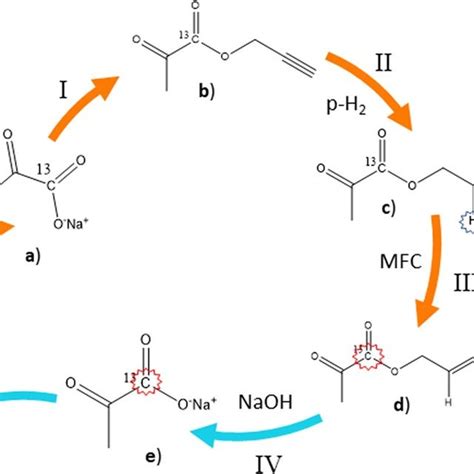 Schematic Representation Of The Phip Sah Procedure I Download