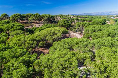 Casa De Campo Park In Madrid Rife With Recreation Go Guides