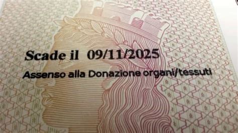 Donazione Di Organi E Tessuti La Volont Dei Cittadini Sulla Carta D