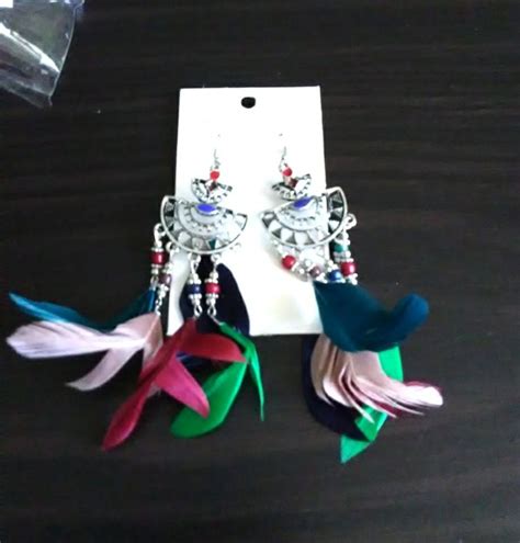 Stunning Feather Earrings