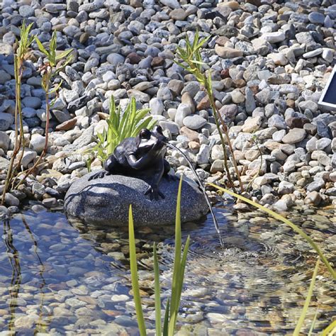 Pompe Fontaine Solaire Jet D Eau Grenouille Sur Pierre Np Pompes