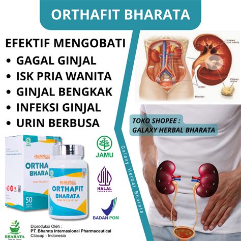 Jual Obat Ginjal Ampuh Obat Gagal Ginjal Orthafit Bharata Obat