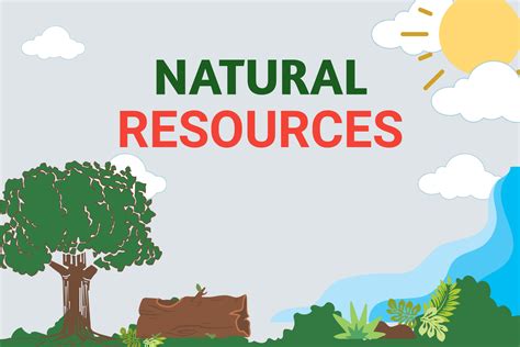 What is Natural Resource? Types, Example and Conservation of Natural