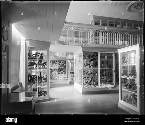 Salem 161 Essex Street Interior Of Peabody Museum Galleries