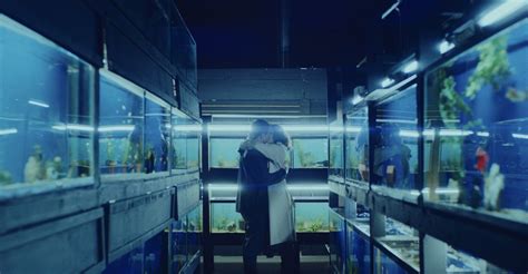 fish filme veja onde assistir