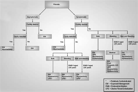 Clinical Perspective Uterine Fibroid Embolization Gynecology