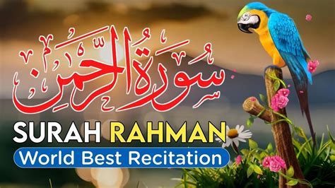 Surah Rahman Beautiful And Heart Trembling Quran Recitation By Syed