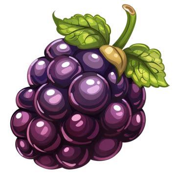 Blackberry Berry Nature Cartoon Blackberry Berries Nature Png