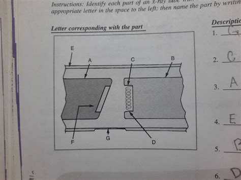 Xray Tube Label Diagram Quizlet