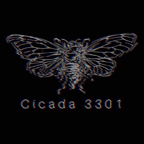 cicada pictures wallpaperscom