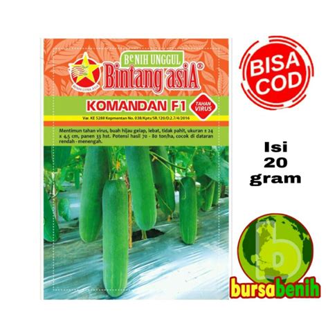 Jual Isi 20 Gram Benih Timun Hibrida KOMANDAN F1 Bibit Timun Komandan