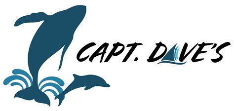 Captain Dave S Dolphin Whale Safari Fornecedor Do Getyourguide