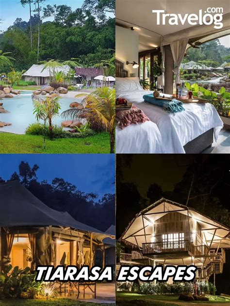 20 Tapak Glamping Cantik Di Malaysia Galeri Disiarkan Oleh