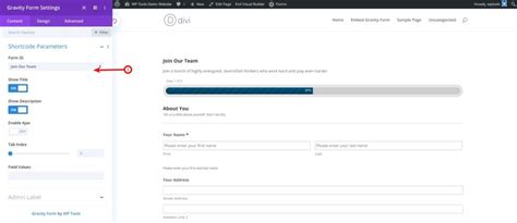 how to add gravity form to divi theme