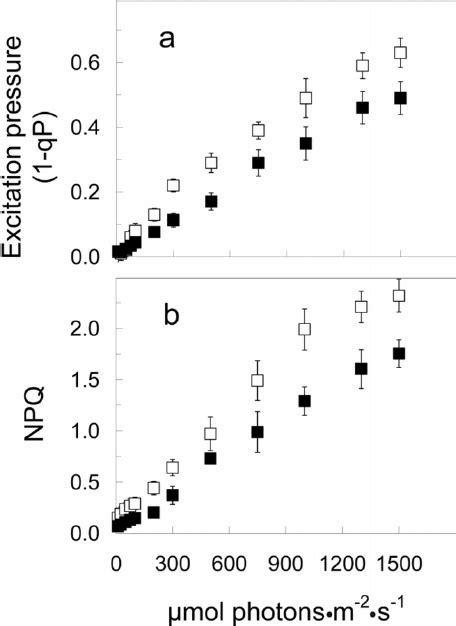 Light ␮ Mol Photons·m −2 ·s −1 Response Curves Of A Excitation