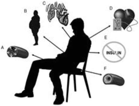 Sedentary Behavior Cardiovascular Risk And Importance Of Physical