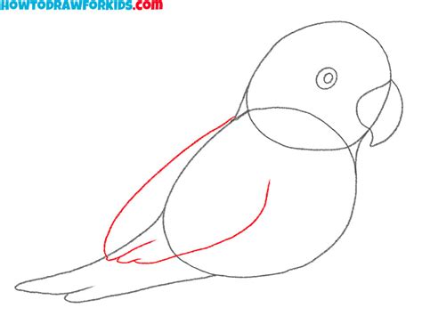 How to Draw an Easy Parrot - Easy Drawing Tutorial For Kids