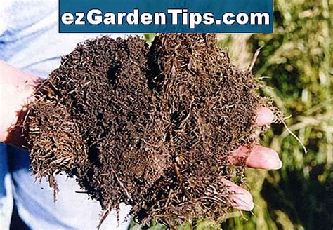 Los Mejores Fertilizantes Para Céspedes 🌱 Tips Jardineros