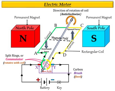 What is the principle of an electric motor Name so - Tutorix