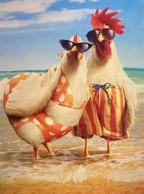 Avanti Press Rooster Wears Swimsuit Funny Humorous Birthday Card