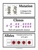 Genetics Word Wall DNA And RNA Bulletin Board By Dr Dave S Science