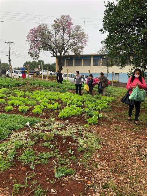 Horta comunitária coletiva responde a desafio de novos tempos Centro