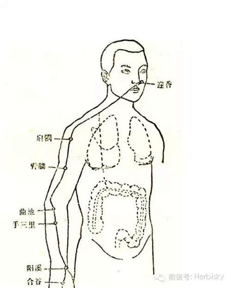 中醫專家：一條胳膊能治這些病 每日頭條