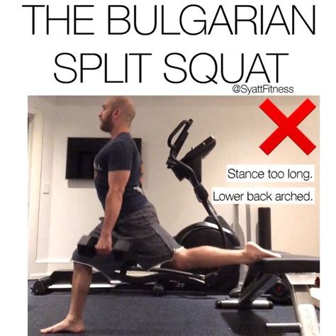 BULGARIAN SPLIT SQUAT TECHNIQUE FOR GLUTE, QUAD, AND DUMBLEDORE GAINZ ...