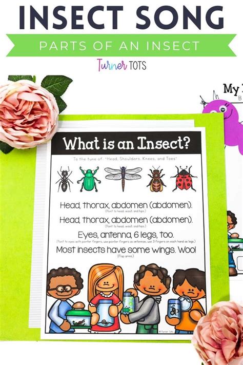 Bugs And Science Activities For Preschoolers To Explore Tiny Critters Preschool Science