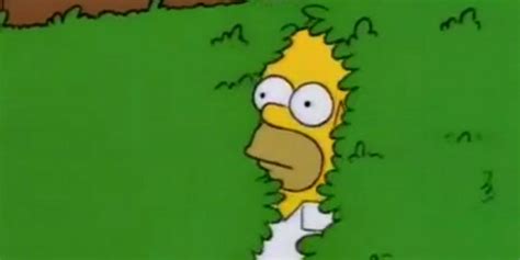 Homer Simpson Backs Into Bushes Meme Recreated By Bart Milhouse