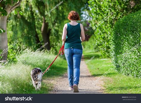 Mature Woman Walking Brittany Dog Leash Stock Photo 654723529