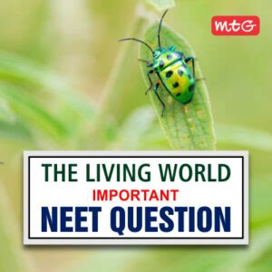 The Living World Neet Questions MTG Blog