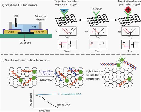 Application And Prospect Of Semiconductor Biosensors In Detection Of