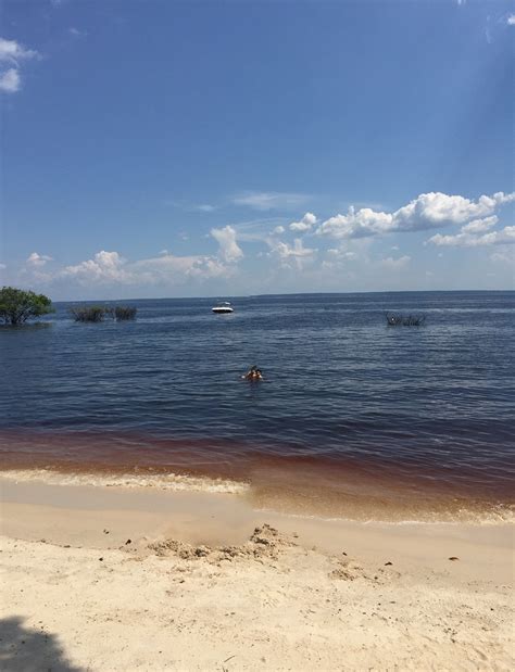 dark water black river photo  photo  pixabay pixabay