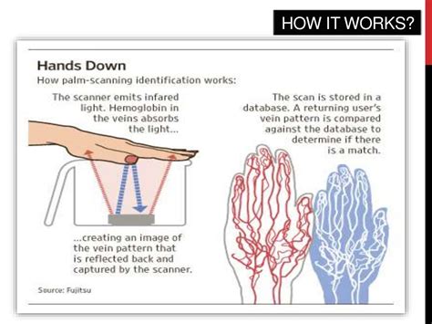 Palm vein Technology