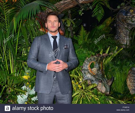 Los Angeles California Usa 12th June 2018 Chris Pratt 034 Attends The Premiere Of Universal