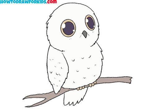 How To Draw A Cute Owl