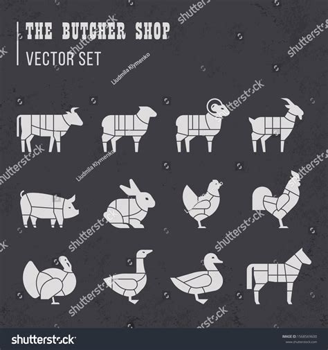 Meat Cuts Set Diagrams For Butcher Shop Scheme Royalty Free Stock