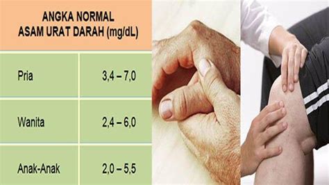 8 Makanan Penurun Asam Urat Berapa Batas Normal Asam Urat Wanita Dan