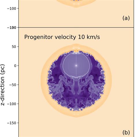 Density eld (plotted in cm −3 ) of the supernova remnants of a 60 M... | Download Scientific Diagram