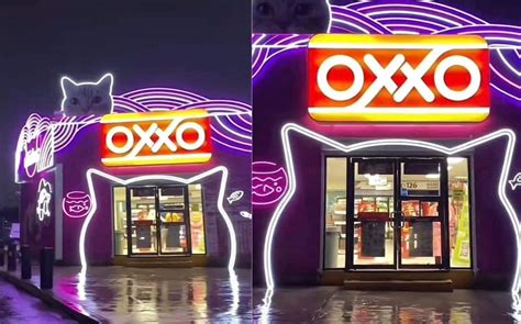 El Encanto Del Michi Oxxo Se Hace Viral En Redes Sociales