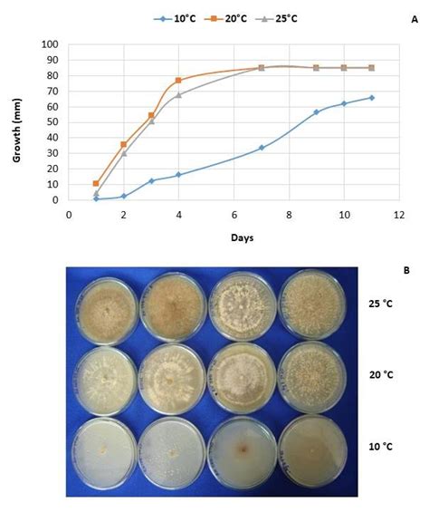 Diametral Growth Of R Solani Mycelium Ag 3 At 10 20 And 25 °c A