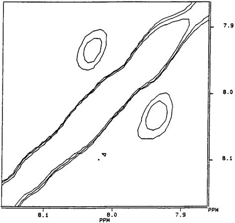 NH NH Region Of A 500 MHz Transfer NOESY Spectrum Of The Peptide