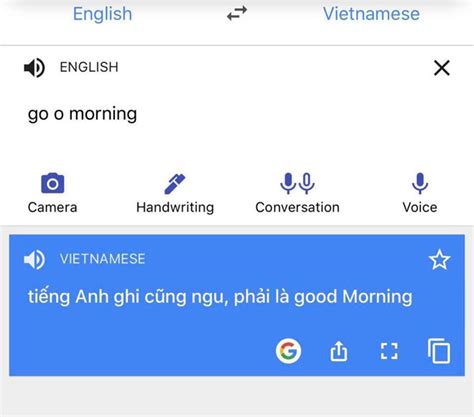 Google Translate dịch nói bậy khiến nhiều người 'chưng hửng