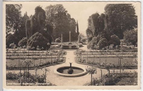 8773 Foto AK Konstanz Insel Mainau Rosengarten 1942 Nr 955934498