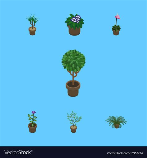 Isometric Plant Set Of Flower Tree Grower And Vector Image