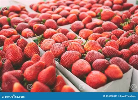 Strawberry Cartons At Farmers Market Stock Image Image Of Grocery