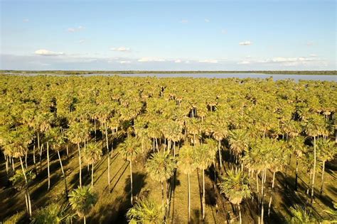 Nuevo Parque Nacional Laguna El Palmar con 5 600 hectáreas dónde queda