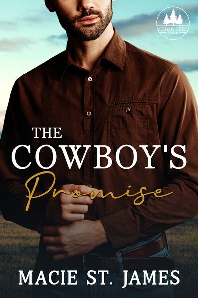 The Cowboy S Promise