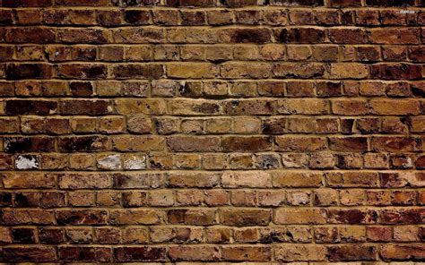 Brick Wall Hd Wallpaper Images Wall Design Ideas Porn Sex Picture